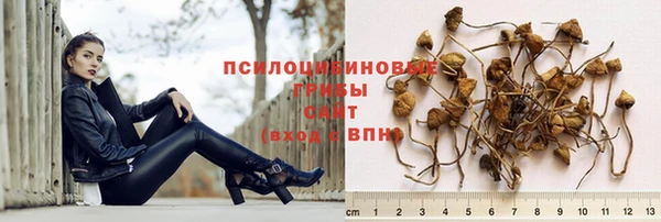 каннабис Алексин